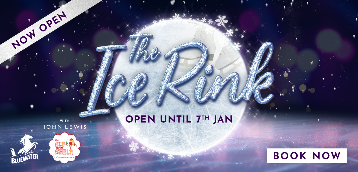ice Rink banner